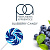 Ароматизатор TPA Blueberry Candy (черничные конфеты) 10мл